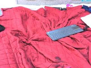 bamby-kitty webcam model