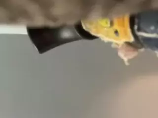 SPONGEBOBLOVER's Live Sex Cam Show