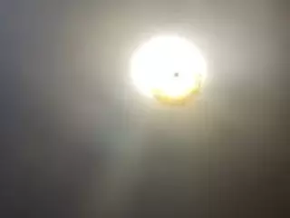 SPONGEBOBLOVER's Live Sex Cam Show