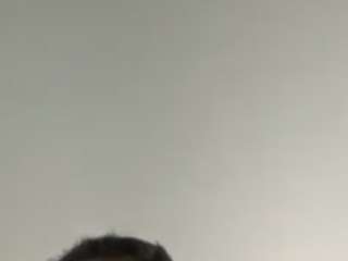 yourhighnesstee