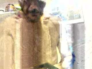 simraf13