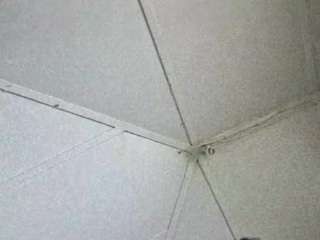 simraf13 webcam model