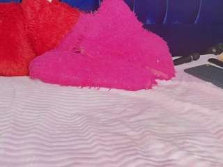 hollycum webcam