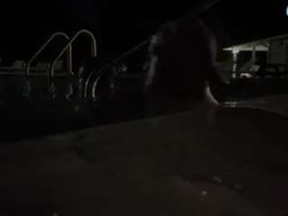 thedevildontknow79