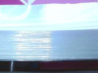 nicedawn webcam