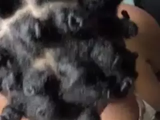 trixxycream's Live Sex Cam Show