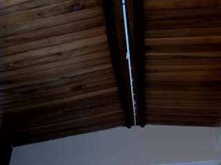 madisonangel, female webcam model,  years old, on live webcam