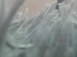 nei-girl live cam preview