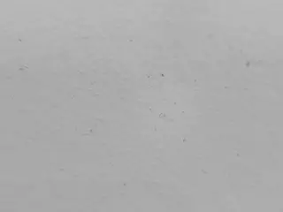 capitanzalumpa's Live Sex Cam Show