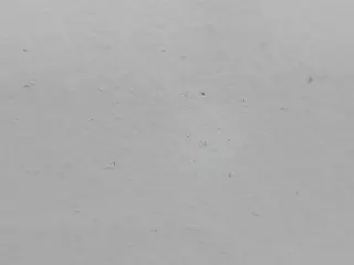 capitanzalumpa's Live Sex Cam Show