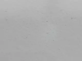 capitanzalumpa's Live Sex Cam Show