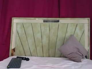 Manuelandlaura's cam show statistics and live stream
