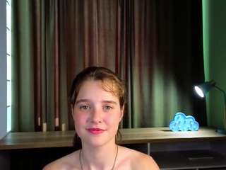 falinefairfax webcam