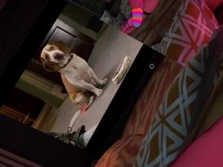 puppybbgirl