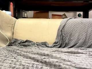 TayteElswick