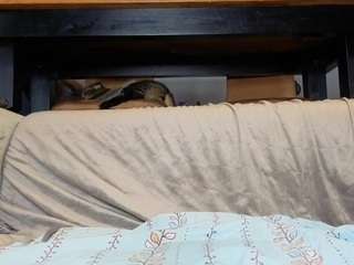 TayteElswick live webcam show