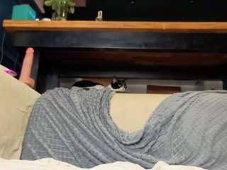 tayteelswick