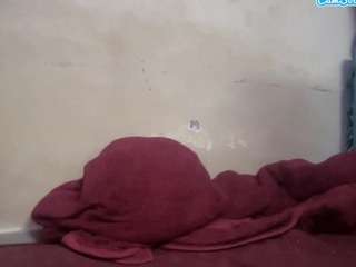 cumboi7771k - Cam en Direct