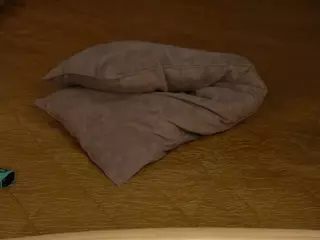 WiloneClutter's Live Sex Cam Show