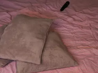 WiloneClutter's Live Sex Cam Show
