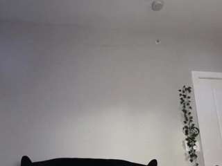 le modèle iveystrigoi est en webcam porno dans un show sur le site camsoda, il possède les tags suivants: anal,lush,toys,tattoos,solo show,skinny,role play,no smoking,no drinking,lovense,anal toys,goth,fit,dirty talk,creampie,blue eyes,athletic,ass to mouth,hd