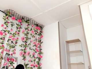debbie-vanleer webcam