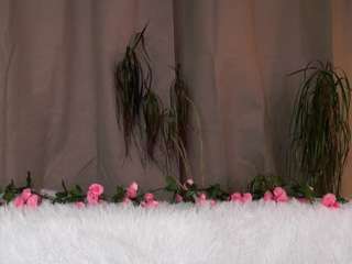 eleneeves's CamSoda show and profile