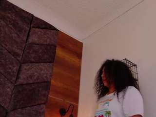 memphis-williams webcam