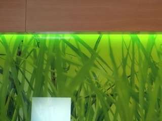 veronabensley Live Webcam on CamSoda