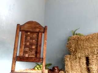 elcaballeronegro
