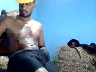 elcaballeronegro