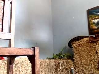 elcaballeronegro