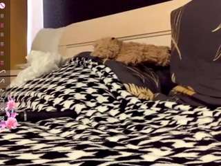 accadevon Live Webcam on CamSoda