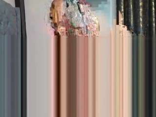 luecipher360 webcam