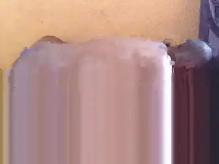 TheTwistElation's Live Sex Cam Show