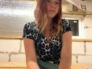 udelagaye webcam