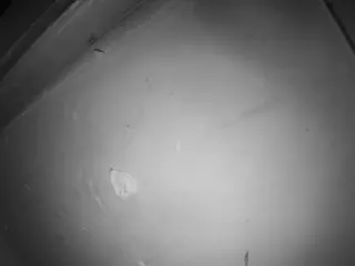 JBTV CentralRoom Cam02 Voyeur