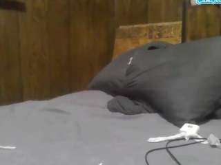 mountainhoneysman - Live Cam