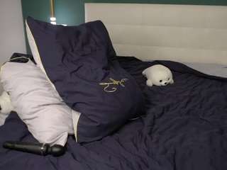verona-bryan webcam