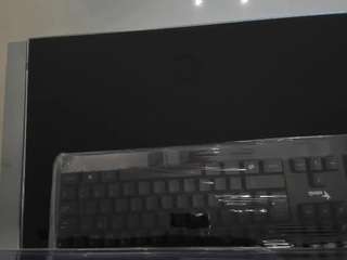 saskia-litt webcam model