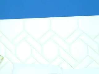 rubyroger's CamSoda show and profile