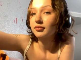 tesla-model-y webcam
