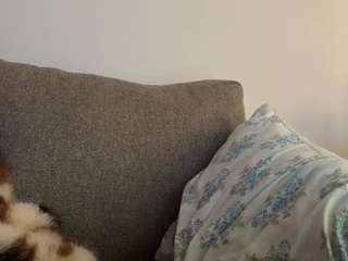 airgead live cam preview