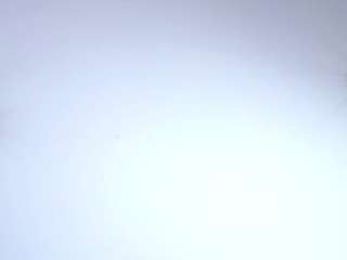 chanellaraes webcam
