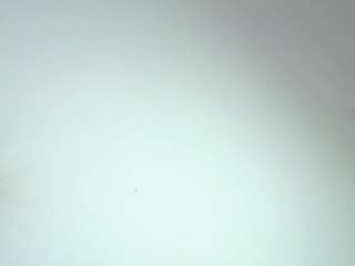  chanellaraes chat room
