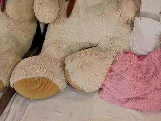 meganadamms webcam model