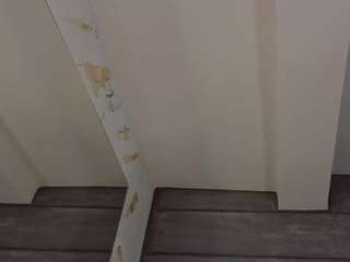 meganadamms webcam model