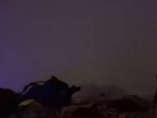 BrownCreamer live cam preview