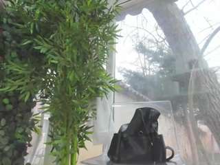 lexistorm Live Webcam on CamSoda