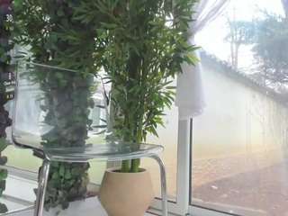 lexistorm live cam profile